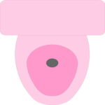 Toilet 6