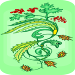 Flower 303
