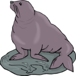 Seal 22