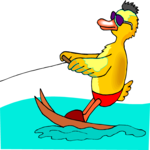 Water Skiing - Duck 2