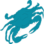 Crab 09