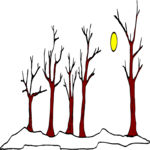 Trees - Bare