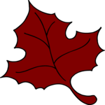 Leaf 113