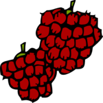 Raspberries 2