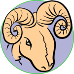 Capricorn 01