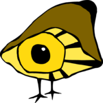 Eye Looking