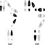 Dance Steps