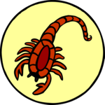 Zodiac, Horoscope & Astrology