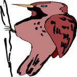 Bird 023