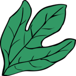 Leaf 093