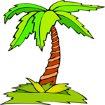 Palm Tree 58