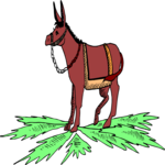 Donkey 12