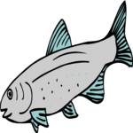 Fish 095