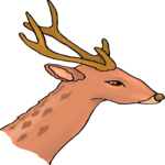 Deer - Face 2