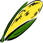Corn 21