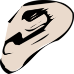 Ear 6