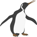 Penguin 07