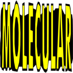 Molecular - Title