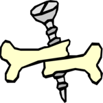 Bone with Screw