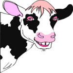 Cow Smiling 2