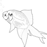 Goldfish 2