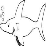 Shark 02