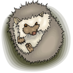 Hedgehog 3