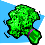 Broccoli 05
