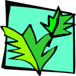 Leaves 83