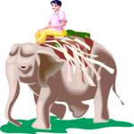 Indian Man on Elephant