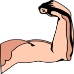 Bicep 3