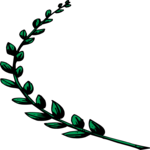 Leaves 41