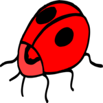Ladybug 6