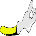Hand 20