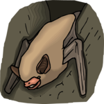 Bat 23