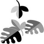 Leaves 47