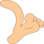 Leg 11