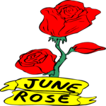 06 June - Rose