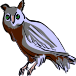Owl 22