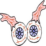 Eyeballs 1