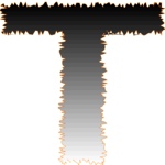 Charcoal Extended T 1
