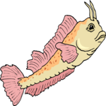 Blenny 3