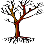 Tree 145