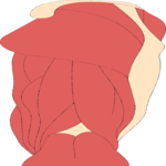 Musculature - Leg 5