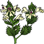 Flower 329