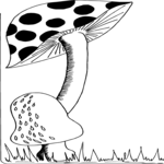 Mushroom Border