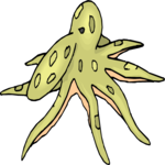 Octopus 08