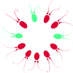 Seedsprout Circle