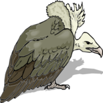 Vulture 4