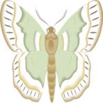 Moth 36
